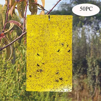 

Strong Flies Traps Bugs Sticky Board Catching Aphid Insects Pest Gnat Traps Killer Fly Aphids Wasp Outdoor Garden Tool 2020