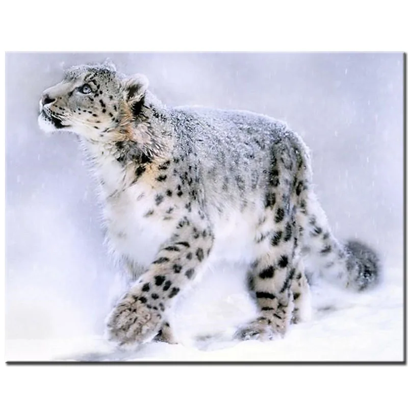 

5D Diy Diamond Painting animals snow leopard FullMosaic Picture Of Rhinestones Embroidery Cross Stitch Wedding DecorationZP-3178