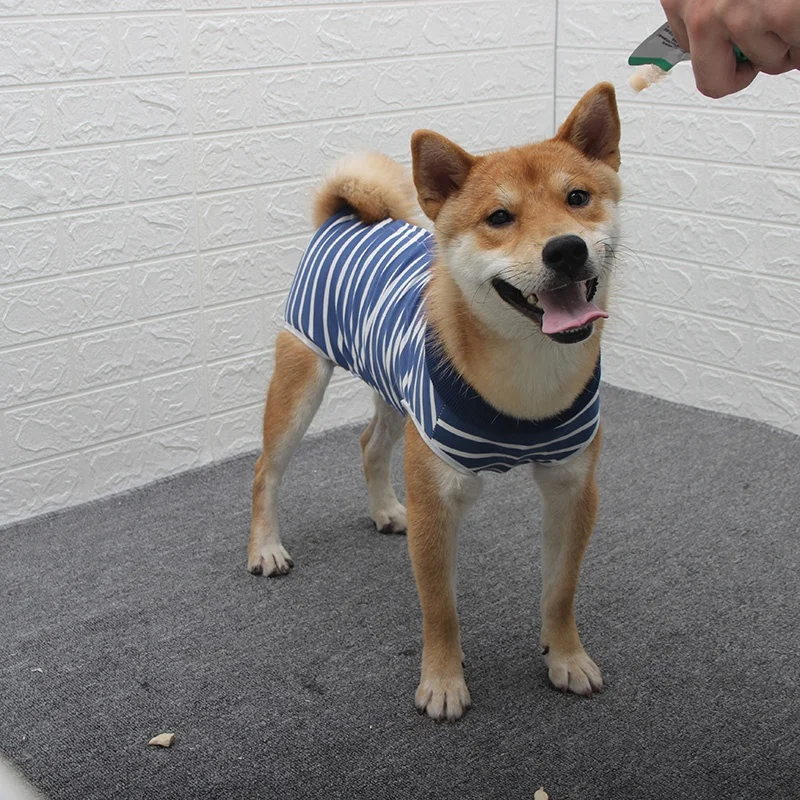 ABUI-Dog Recovery Suit, медицинский костюм для щенков, одежда и одежда после хирургии, анти-лизание РАН, помощь в послеоперационном заживлении