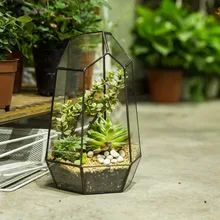 Необычный суккулентный стеклянный геометрической формы ландшафт с террариумом Сказочный Сад миниатюрные винтажные викторианские цветочные горшки