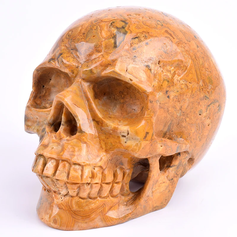 

5.7 Inch Realistic Crystal Skull Carving Craft Sculpture Natural Yellow Crazy Lace Carved Healing Crystal Statue Home Decor