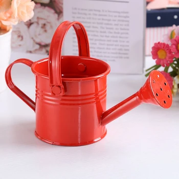 Tin Watering Can Plant Spray Wrought Iron Portable Gardening Tools Metal Sprinkled With Handle Shower for Watering & Irrigation
