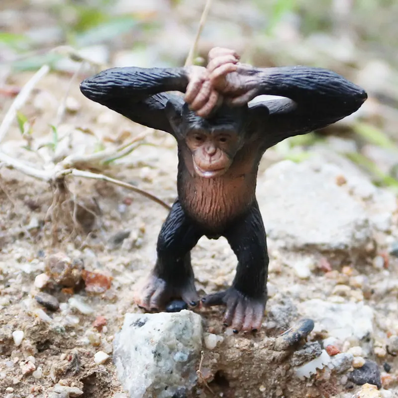 Oenux дикие животные модель моделирование орангутанг шимпанзе Горилла Гиббон обезьяна Фигурки ПВХ Коллекция игрушек подарок