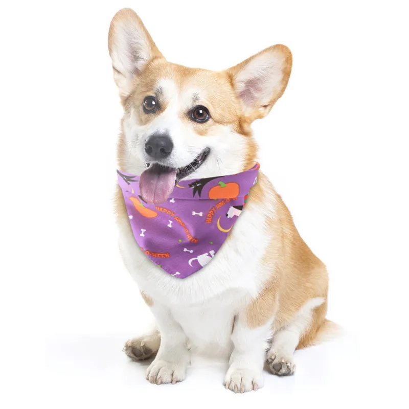 CJJ90916891PP_0948328532212804906