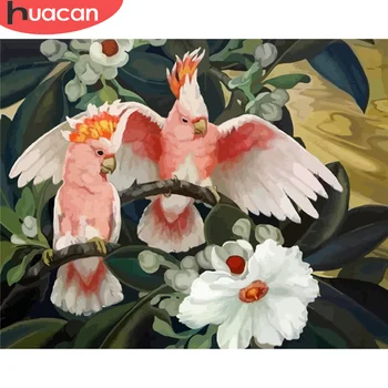 

HUACAN Painting By Numbers Parrot Animal Drawing On Canvas Picture By Number Flower Kits Home Decors