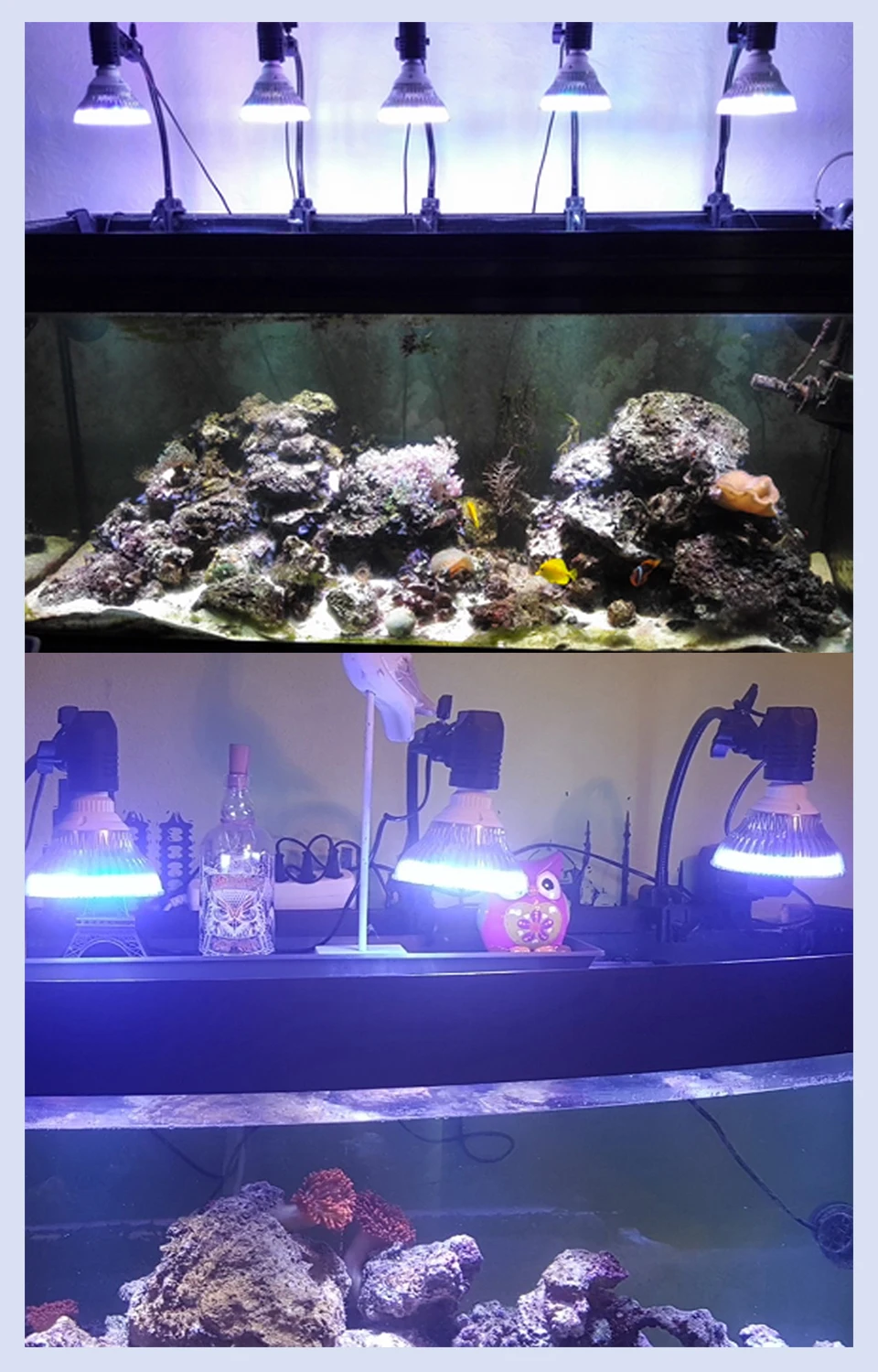 21 Вт 36 Вт 54 Вт E27 Светодиодный светильник для аквариума PAR38 Светодиодный светильник для выращивания коралловых рифов с высоким номиналом для пресной воды светодиодный светильник для аквариума