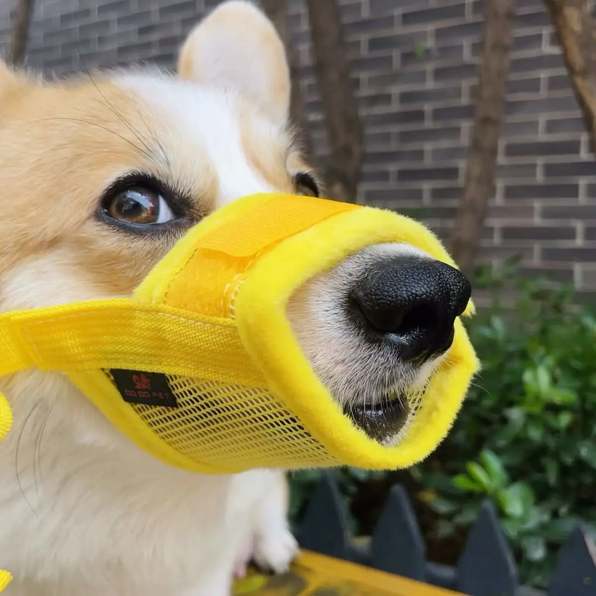 small dog muzzle for barking
