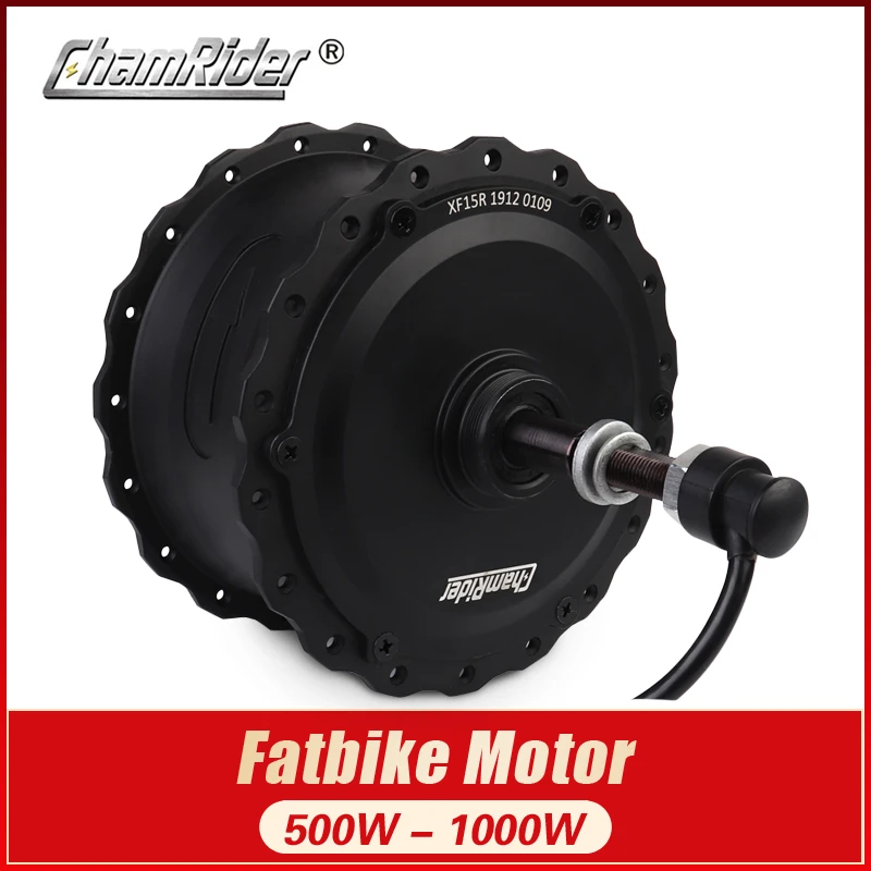 Indian cheap brushless geared hub motor for electric bicycle Tool Parts