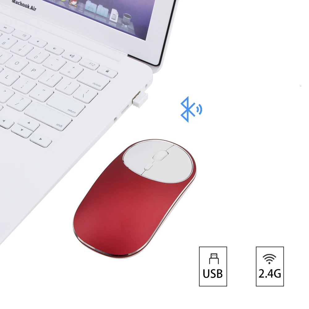 mouse