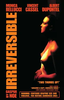 

Lot style Choose IRREVERSIBLE Movie Art print Silk poster Home Wall Decor