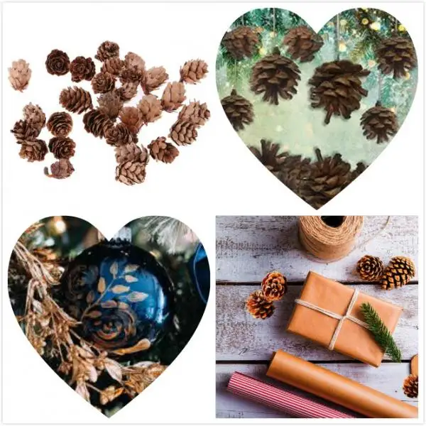 30 Pcs Naturally Mini Decorative Pinecone Pine Cones Vase Bowl Filler Displays Crafts Christmas House Tree Hanging Ornament