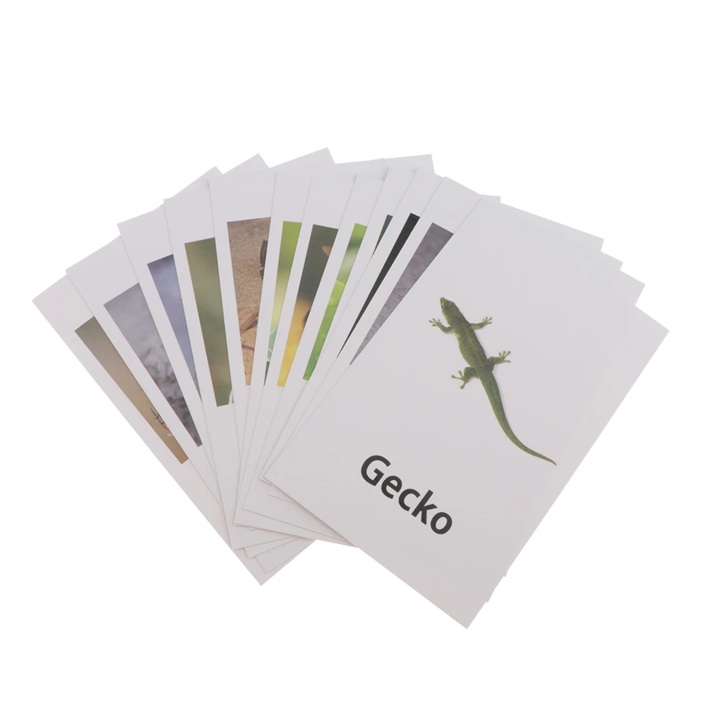 Montessori Insect Animal Match - Miniature Insects Figurines (12pcs) with Matching Cards (12pcs) - 2 Montessori Learning Toy