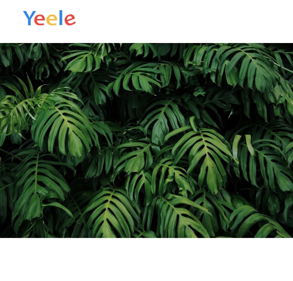 YeeleTropical Пальмовые Листья вечерние Детские фотосессия фотография фоны на заказ фотографические фоны для фотостудии