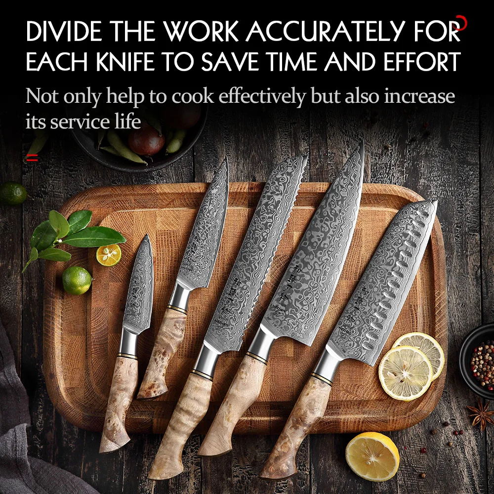 XINZUO 5pc Kitchen Knife Set Damascus Steel High Carbon Steel Chef Knife Slicing Knife Santoku Knife Utility Knife Paring Knife Sets with Pakkawood