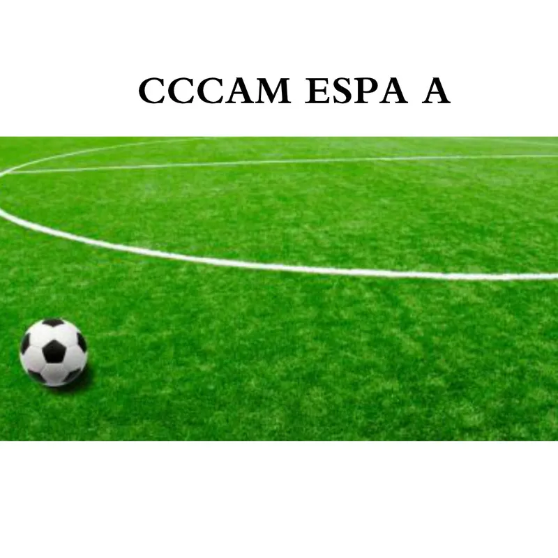

Cccam ESPA A Clines for Europe Spain 8-Lines