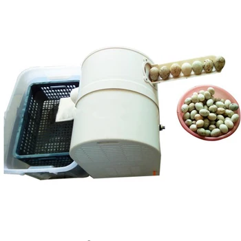 

2300 pcs/h chicken duck goose egg washer egg cleaner wash machine