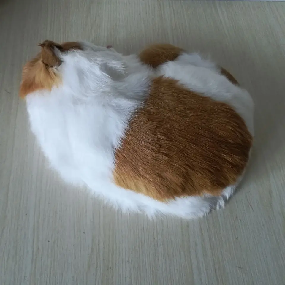 Реальная игрушка желтая белая кошка Модель около 25x20 см пластик и меха Спящая кошка модель украшение дома реквизит, модель подарок h0709