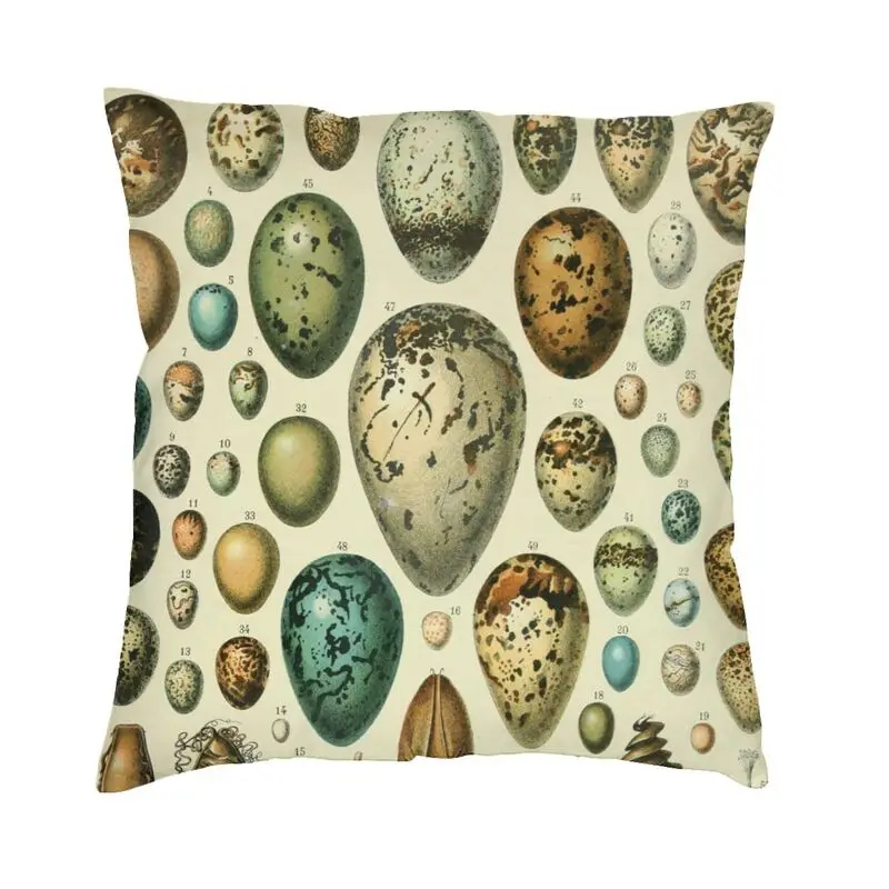

Наволочки Адольфа миллота в виде яиц, украшение для гостиной, наволочка для подушки, Классическая энциклопедия, Подушка для стула, квадратная наволочка