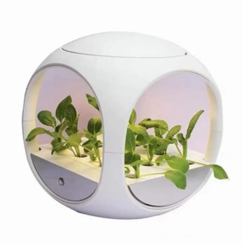 

Plant High Quality Indoor Growing Garden Home Used with Flower/green Plant Food Grade PE Plastic White Modern Support