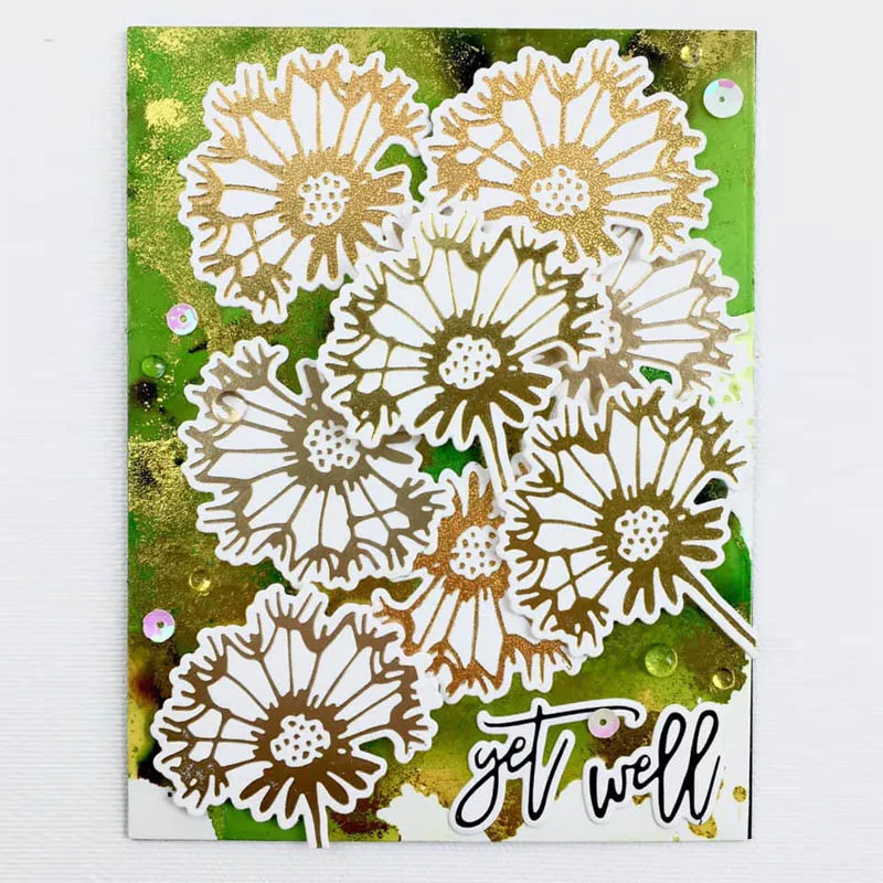 55711468_3043104972371421_1624032803697983488_n