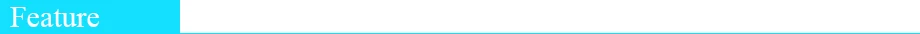 特征