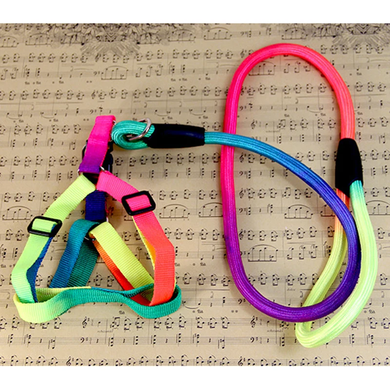 Adjustable Rainbow Nylon Puppy Dog Pet Cat Harness and Leash Vest Lead Daily Training Walking Chest Strap | Дом и сад