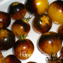 Большая рекламная акция! растительный бонсай, очень редкий Шмель пчелиный помидор! Низкая кислота 50 штук! Мини Фруктовый овощной сад,# WJE3NQ