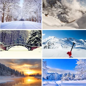 

SHENGYONGBAO Vinyl Custom Photography Backdrops Prop Winter landscape Theme Photography Background 200309HD-03