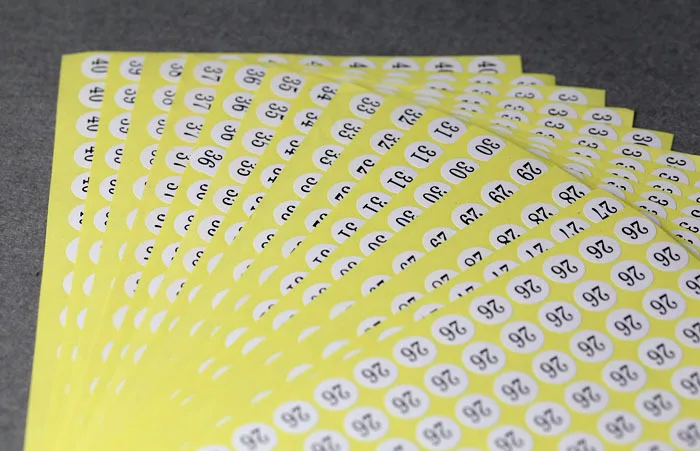 1767684219_338453905