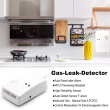 Capteur de détection de fuite de gaz, réinitialisation automatique après alarme, détecteur de gaz naturel/gpl/CO, détecteur de reniflard 220V ou DC 12V