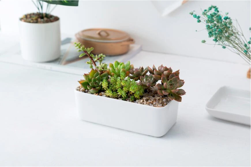 QQ截图20190814103348