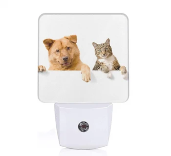 

Dropshipping Photo Nightlight ,Custom Nightlight Custom Wall Nightlight ,Print Wall Nightlight,Personalized Photo Nightlight，