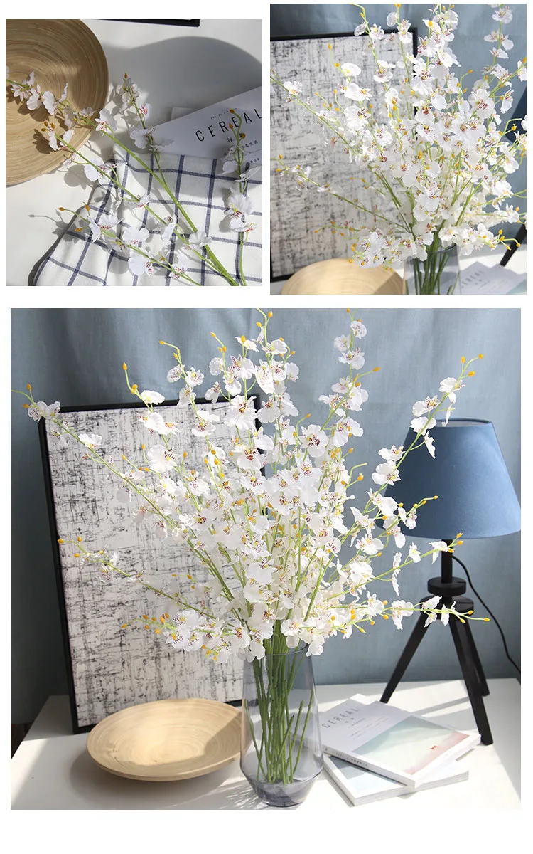 8679115265_1885843273-1