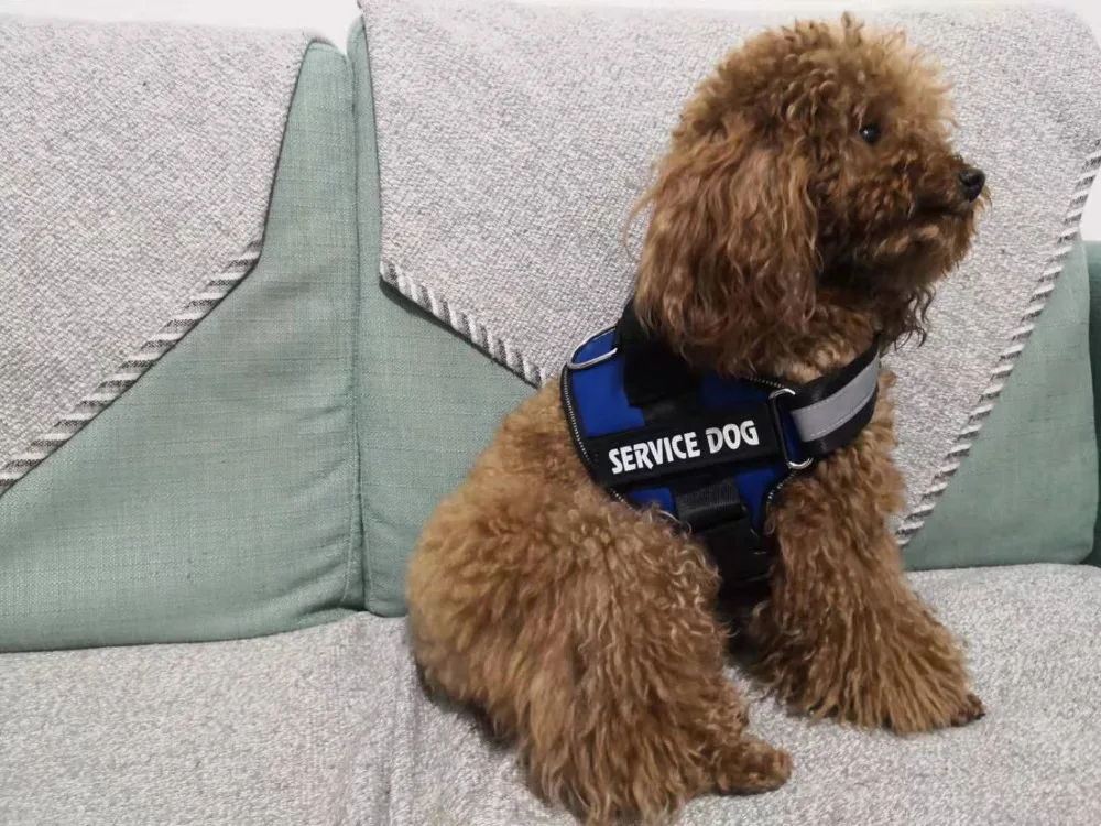 8008583099834241第二张