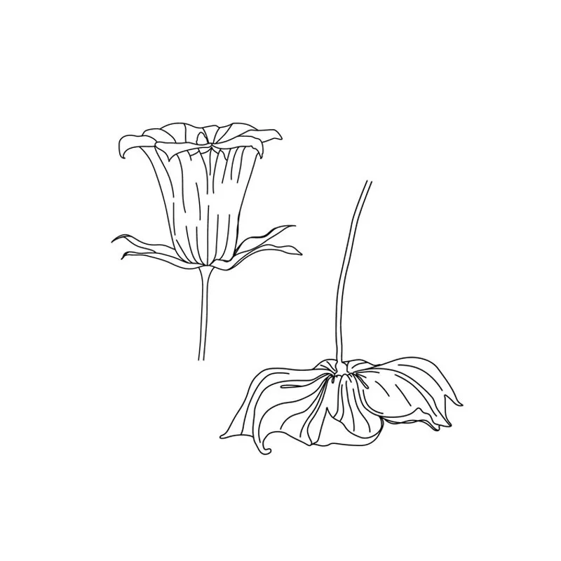 

2pc Flowers Rubber Clear Stamps Silicone Seal for DIY Scrapbooking Card Transparent Stamps Making Photo Album Crafts Decorative