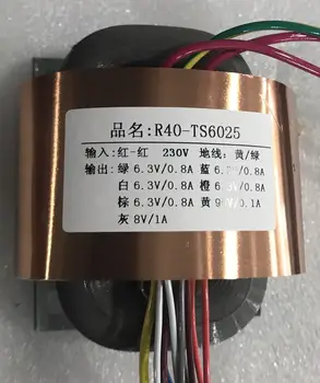 

90V 0.1A 8V 1A 5*6.3V 0.8A R Core Transformer 45VA R40 custom transformer 230V copper shield Power supply amplifier