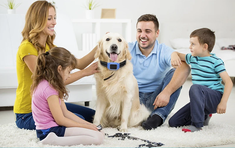 7729761284_210334506