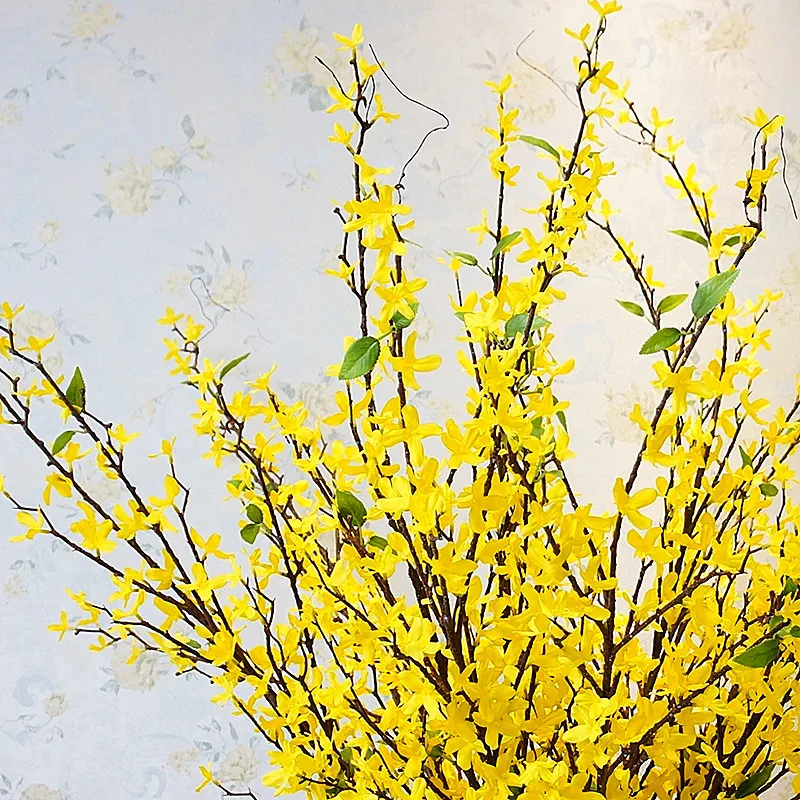 13749553513_874253957