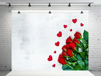 

VinylBDS 300x300cm Valentine 'S Day Backgrounds For Photo Studio Children Background Photography Withe Doors Microfiber Backdrop