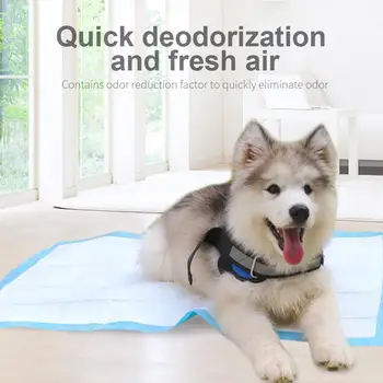 

Puppy Pee Mats Pet Training Pads Dog Urine Pad Disposable Non-Woven Antibacterial Absorbent Convenient Cat Deodorant Indoor