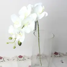 Бабочка, Орхидея, шелк цветок букет фаленопсис Свадебные украшения дома сад Шелковый цветок ресторан