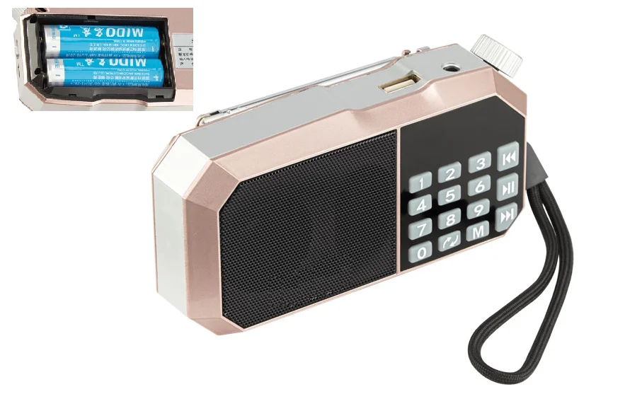 Карманный мини портативный Радиоприемник с 2 батареями 18650 цифровой светодиодный дисплей fm-радио приемник динамик поддержка USB TF карта