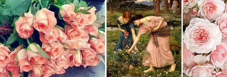 HTB1E2TuOFXXXXacXpXXq6xXFXXXe