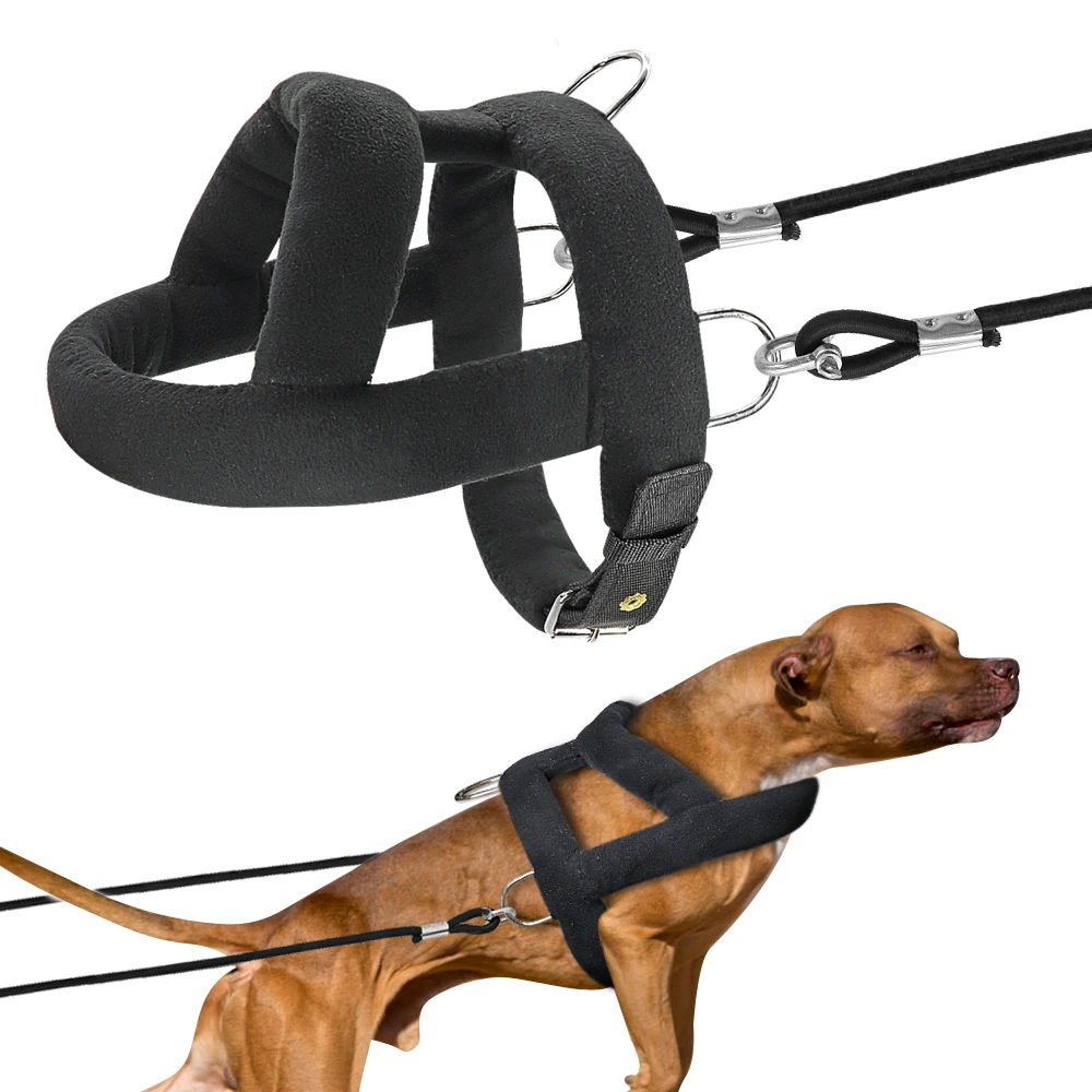 How To Make A Dog Harness Out Of bing