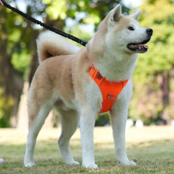 

Pet Sports Dog Traction Chest Strap Vest Explosion-proof Soft Breathable Comfortable Pet Dog Accessories