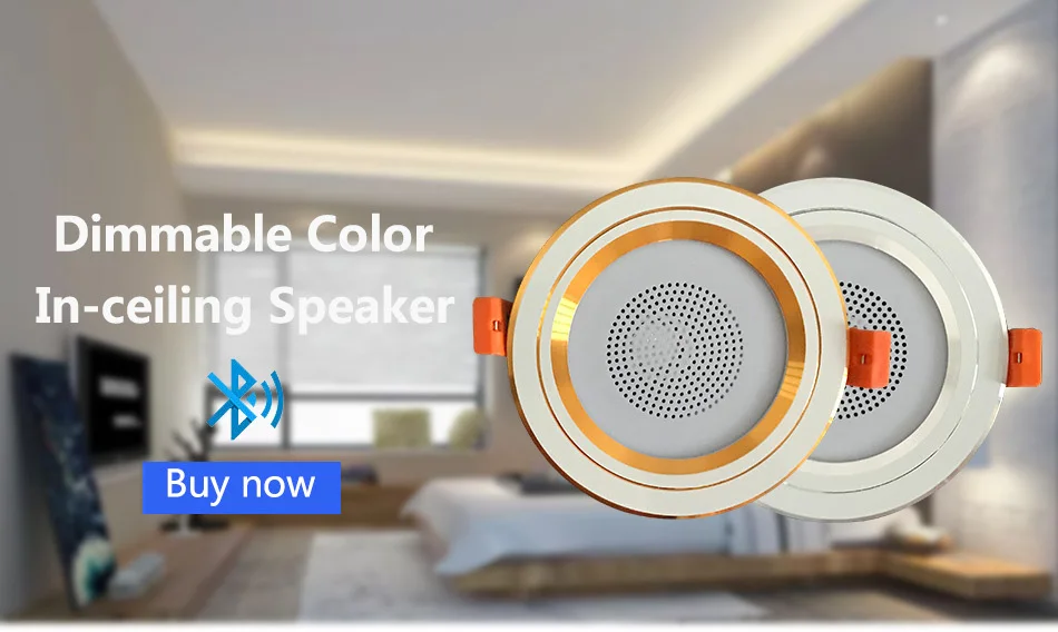 ceiling speakers with built in amplifier