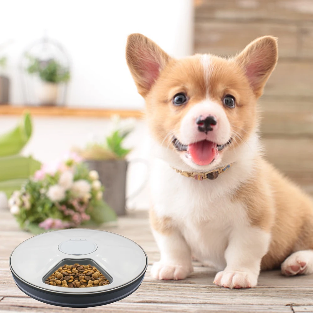

Automatic Pet Feeder Timing 6 Grids Food Compartments For Dog Cat Rabbit And Small Animals Dry And Wet Food Plate