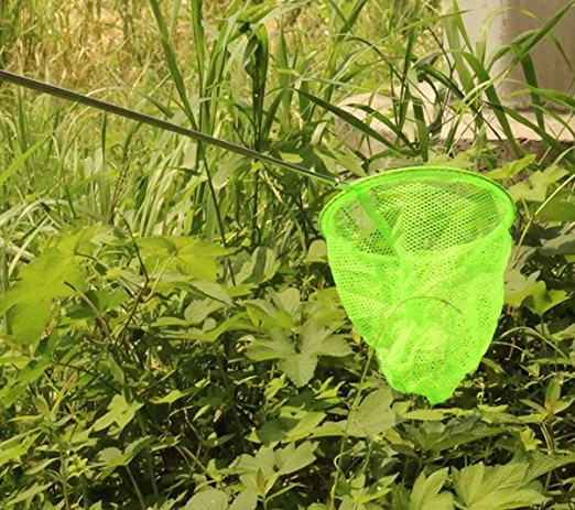 Filet papillon télescopique coloré pour enfants, extensible 34 pouces et poignée antidérapante, parfait pour attraper les insectes petits poissons