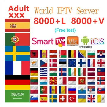 

World iptv subscription 8000 iptv android tv box m3u dutch europe france Belguim dutch sweden romania albania iptv box