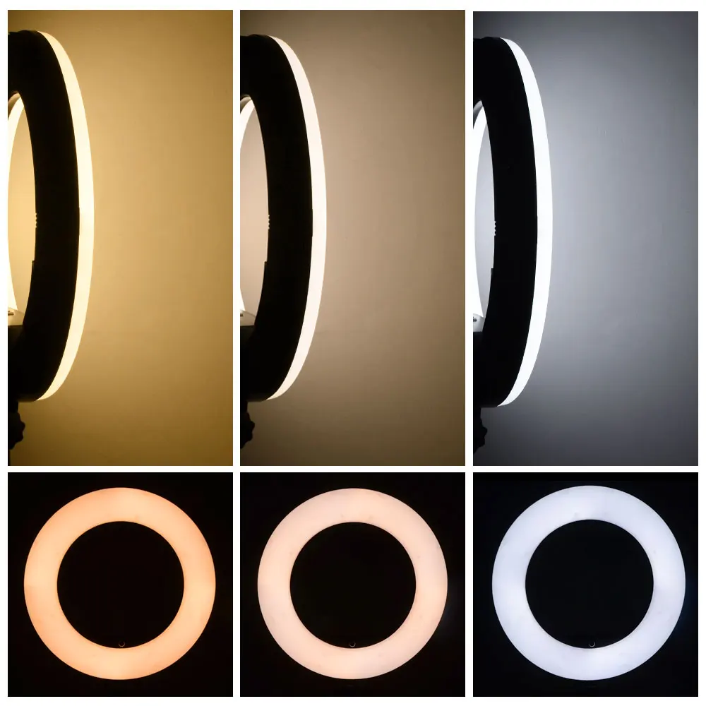 Auction Ohio | Ring Light
